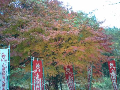 小原区内の神社の紅葉
