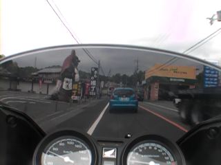 信楽走行中。たぬきの置物多し。