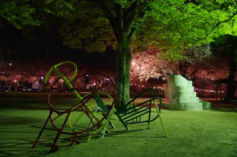 遊具と桜