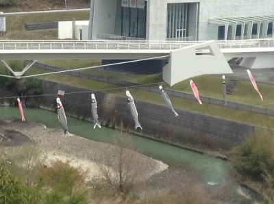 日吉のこいのぼり
