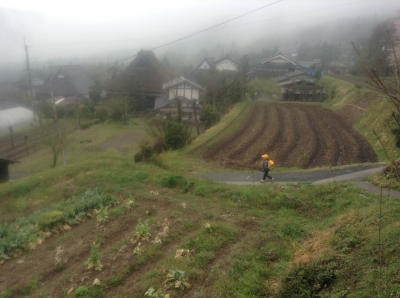 有 登校