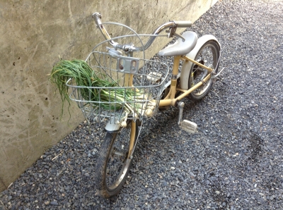 ノビルと自転車