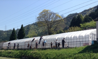 プールビニール張り全景