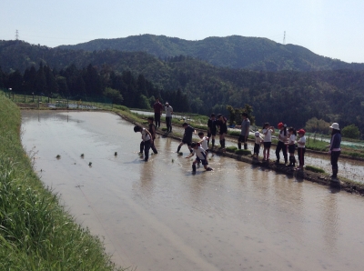 田んぼへ
