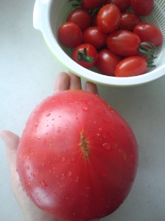 130809_1320~01.jpg