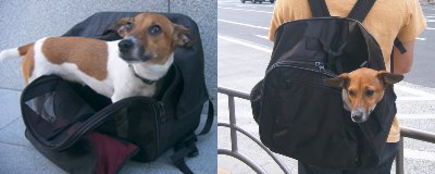mr.bagman