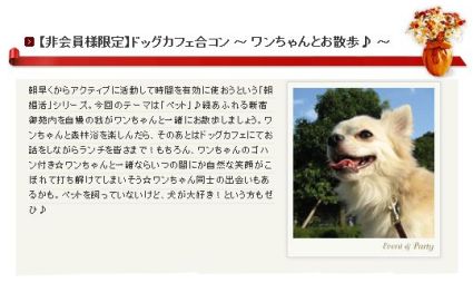 こんかつ