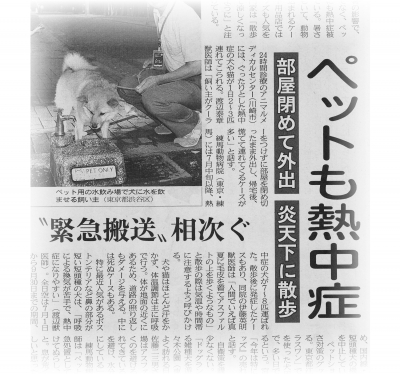 ペットも熱中症