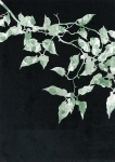 近藤英樹・search the light