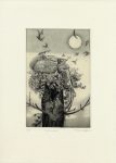 佐藤妙子・harvest moon