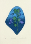 古本有理恵・Eucalyptus