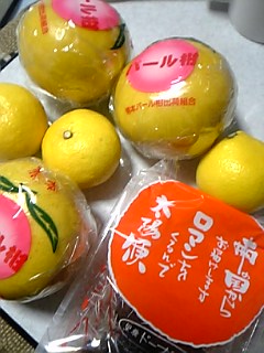 パール柑・ドーナツ棒