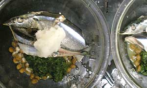 sanma