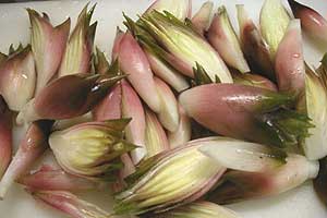 myouga