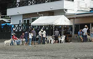 bbq