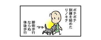 zubo