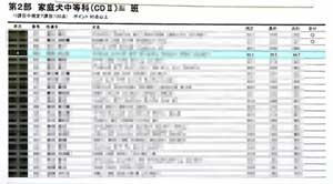 点数