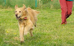 run