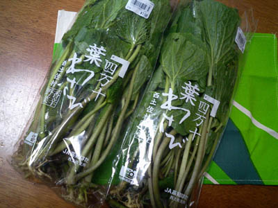 葉ワサビ2束。
