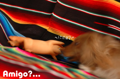 ブヒブヒうるさいわよぅっっ。