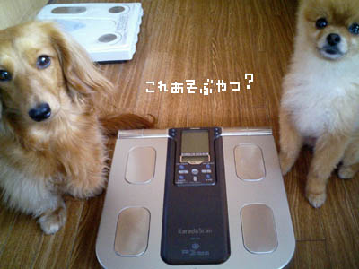 ちょっとどいてください。。。