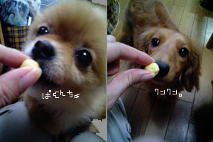 そんなに悪いこともないでつよー。