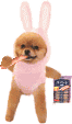 のれまんど最高!