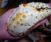 デカすぎっ。