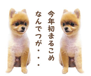 まるこめ。