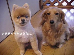 痛かたお。。。