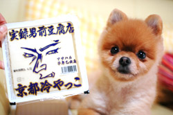 どっちがおとこまえ?