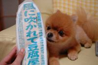 風に吹かれて・・・