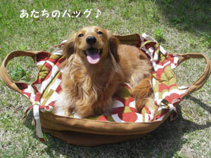 バッグ大好き☆