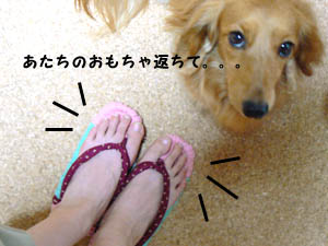 着用図。