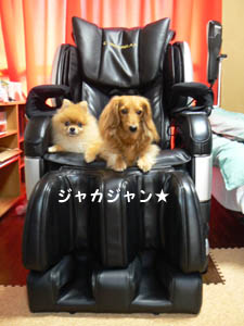 全貌。