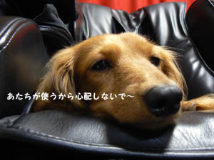 らんらんお気に入りでふ。