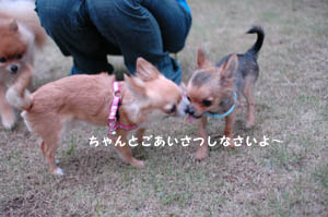 教育中。