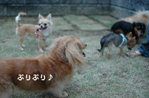 巨大。。。