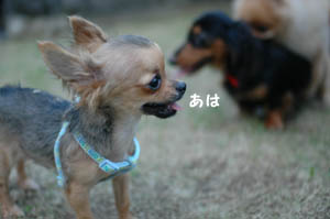 大人って大人って。。。