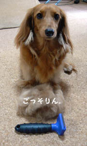 ごっそり!!!