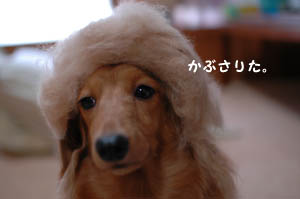 あたち似合わないの。