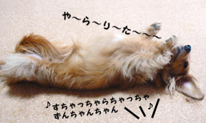 た〜い〜く〜つ〜。