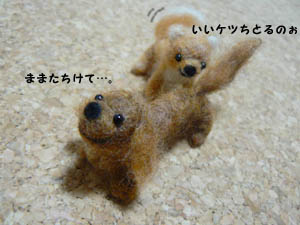 いつもこんな感じ〜。