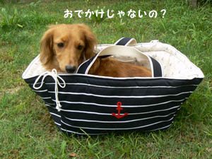 入れてみる。