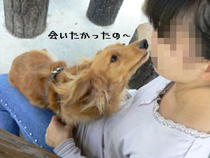ちゅーちてあげまつ♪