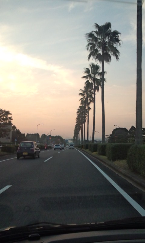 DSC_0005-9.jpg