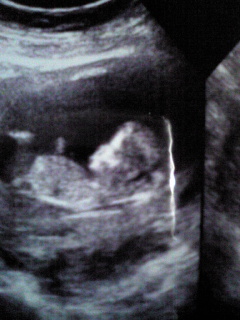 Image004.jpg