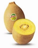 zespri gold