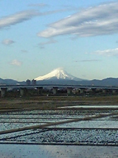 ツーキニストと富士山