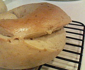 200612062307001.jpg